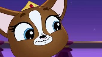 至Q宠物屋第一季 中文版,萌宠奇遇记，温馨治愈之旅