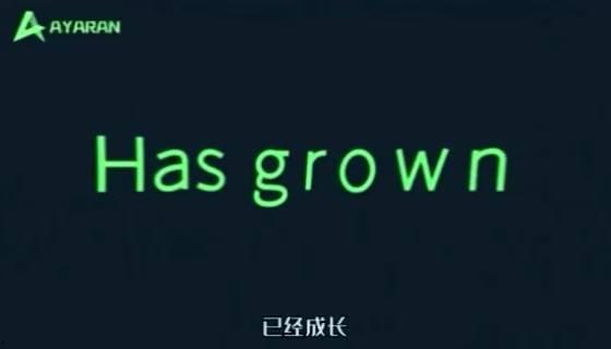 阿亚兰,探寻神秘东方古文明的瑰宝