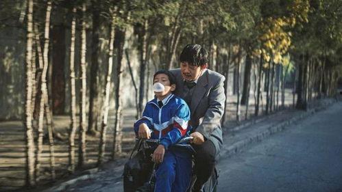 平原上的摩西,探寻信仰与自由的传奇之旅